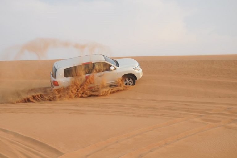 Desert Safari Abu Dhabi - AED 60 Abu Dhabi Desert Safari Tours 2024