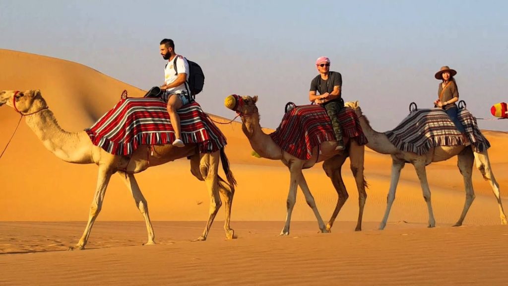 Image result for camel ride abu dhabi